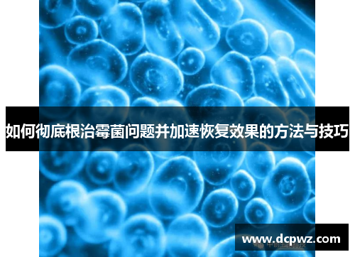 如何彻底根治霉菌问题并加速恢复效果的方法与技巧 如何彻底根治霉菌问题并加速恢复效果的方法与技巧
