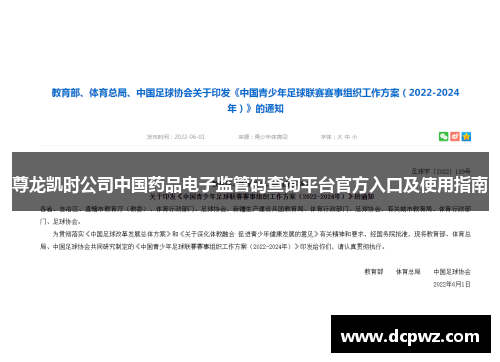 尊龙凯时公司中国药品电子监管码查询平台官方入口及使用指南